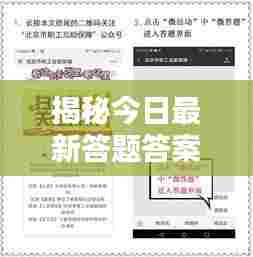 揭秘今日最新答题答案，不容错过！