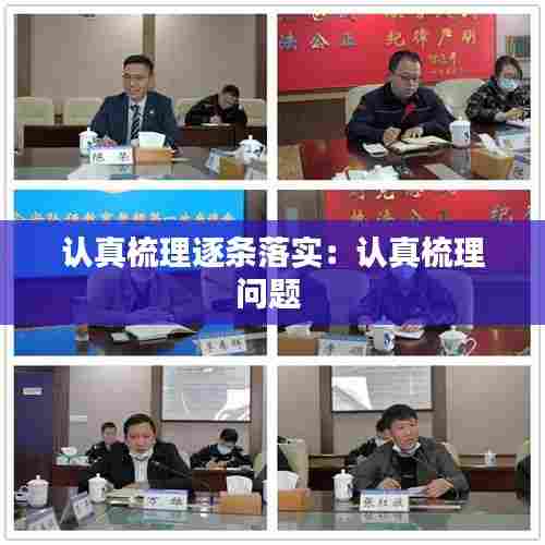 认真梳理逐条落实：认真梳理问题 