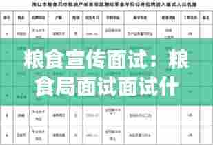 粮食宣传面试：粮食局面试面试什么 