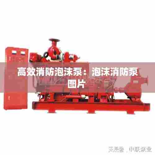 高效消防泡沫泵：泡沫消防泵图片 