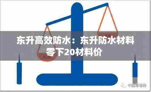 东升高效防水：东升防水材料零下20材料价 