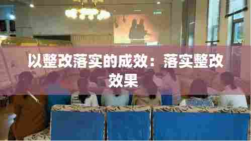 以整改落实的成效：落实整改效果 