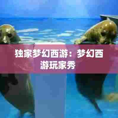 独家梦幻西游：梦幻西游玩家秀 