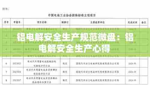 铝电解安全生产规范微盘：铝电解安全生产心得 