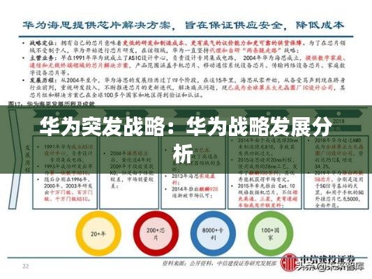 华为突发战略：华为战略发展分析 