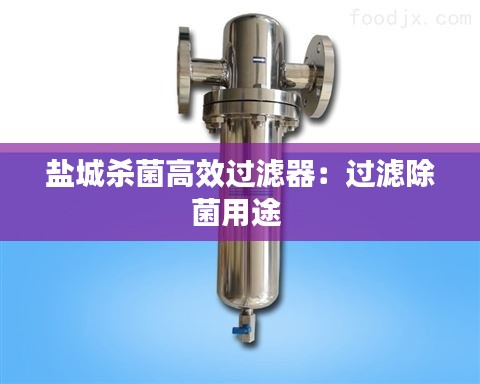 盐城杀菌高效过滤器:过滤除菌用途