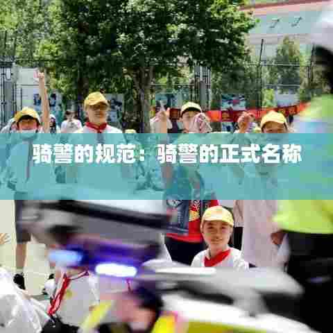 骑警的规范：骑警的正式名称 