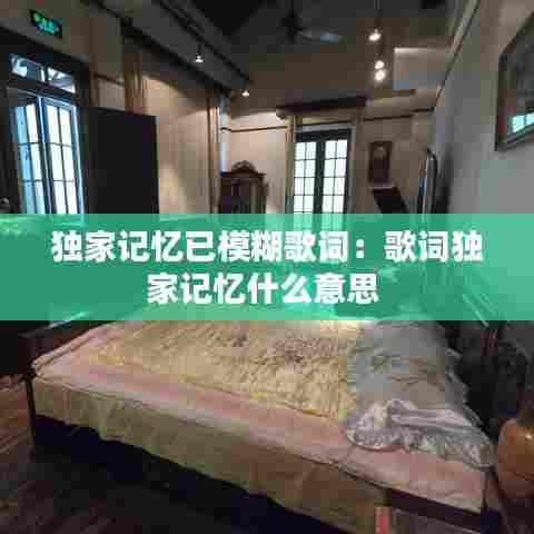 独家记忆已模糊歌词：歌词独家记忆什么意思 