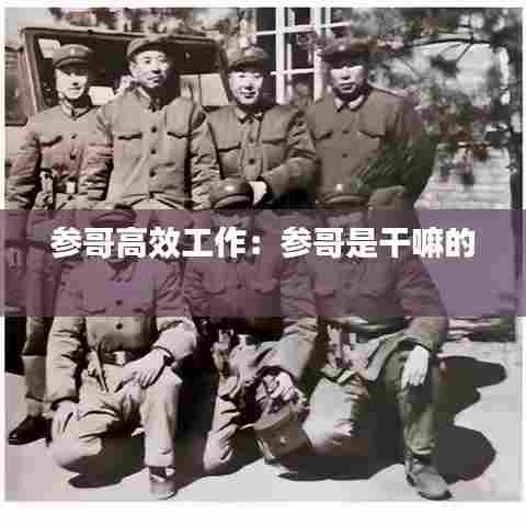 参哥高效工作:参哥是干嘛的