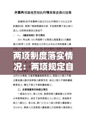 两项制度落实情况：两项规定自查报告 