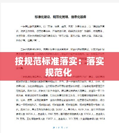按规范标准落实：落实规范化 