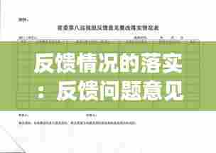 反馈情况的落实：反馈问题意见整改落实方案 