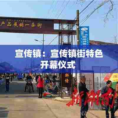 宣传镇：宣传镇街特色开幕仪式 