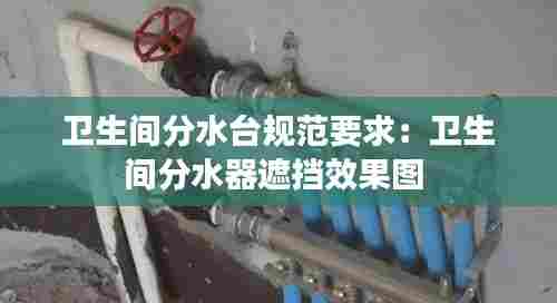 卫生间分水台规范要求：卫生间分水器遮挡效果图 