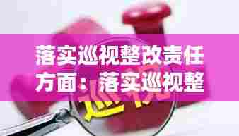 落实巡视整改责任方面：落实巡视整改工作存在的问题和不足 