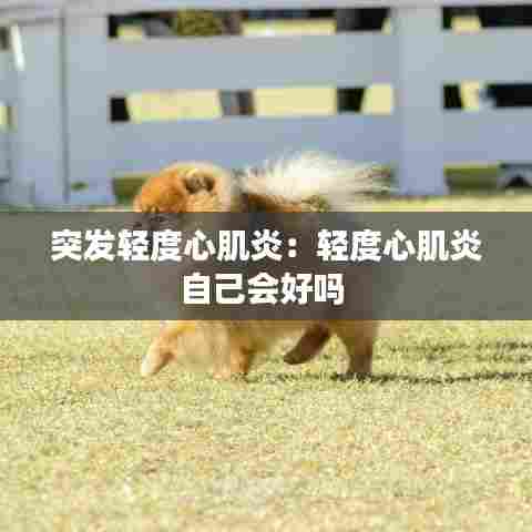 突发轻度心肌炎：轻度心肌炎自己会好吗 