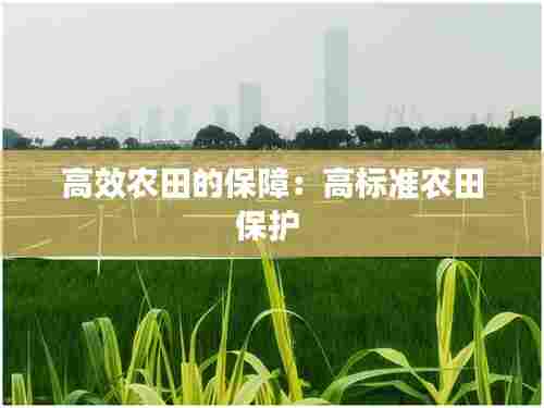 高效农田的保障：高标准农田保护 