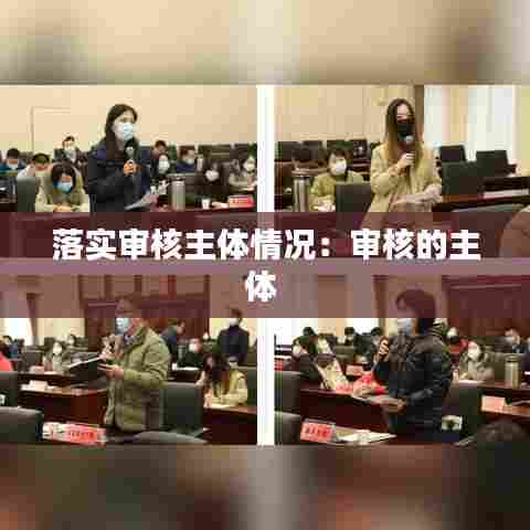 落实审核主体情况：审核的主体 