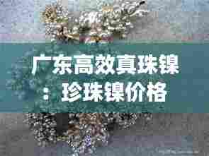 广东高效真珠镍：珍珠镍价格 