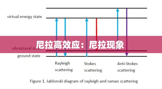 悬驼就石 第8页