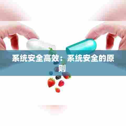 系统安全高效：系统安全的原则 