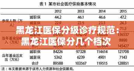 黑龙江医保分级诊疗规范:黑龙江医保分几个档次