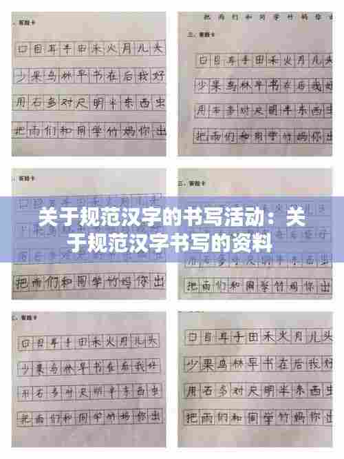 关于规范汉字的书写活动：关于规范汉字书写的资料 