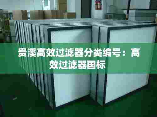 贵溪高效过滤器分类编号：高效过滤器国标 