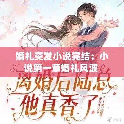 婚礼突发小说完结:小说第一章婚礼风波