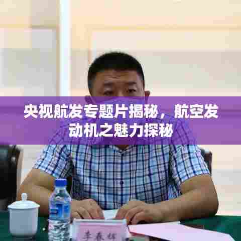 央视航发专题片揭秘，航空发动机之魅力探秘
