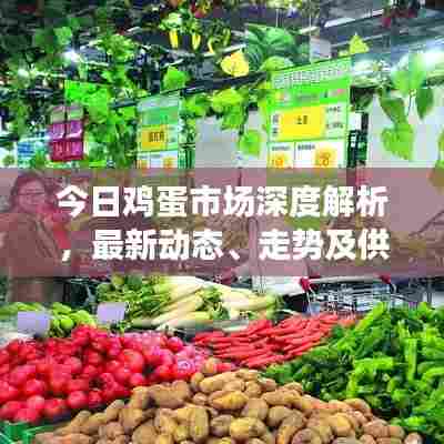 今日鸡蛋市场深度解析，最新动态、走势及供需全方位探讨