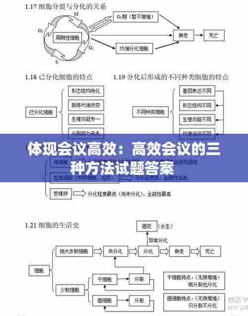 体现会议高效:高效会议的三种方法试题答案