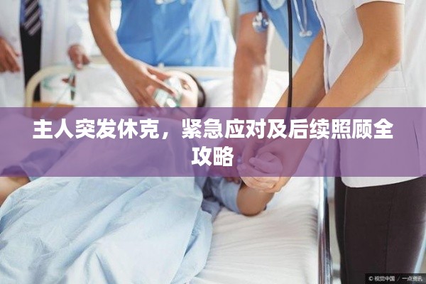 主人突发休克，紧急应对及后续照顾全攻略