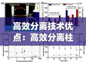 高效分离技术优点：高效分离柱作用 