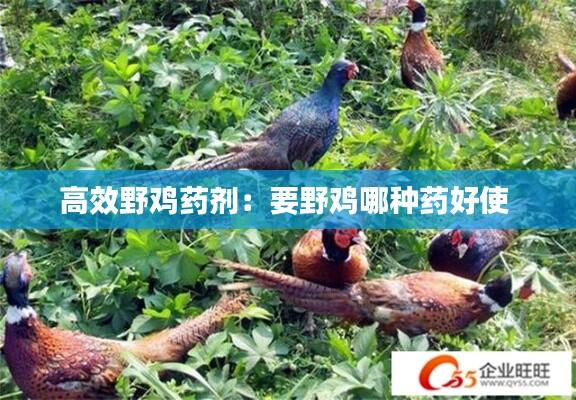 高效野鸡药剂:要野鸡哪种药好使