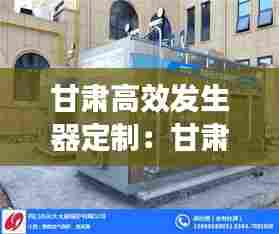 甘肃高效发生器定制：甘肃高效发生器定制公司 
