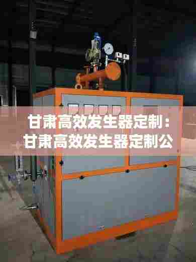 甘肃高效发生器定制:甘肃高效发生器定制公司