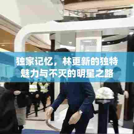 独家记忆，林更新的独特魅力与不灭的明星之路