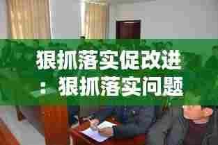 狠抓落实促改进：狠抓落实问题整改 