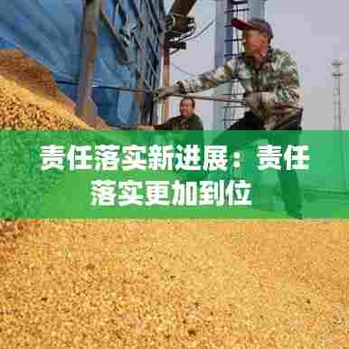 责任落实新进展：责任落实更加到位 