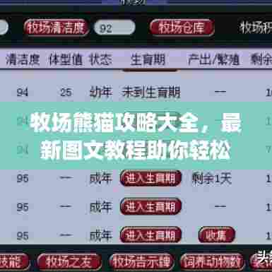 牧场熊猫攻略大全,最新图文教程助你轻松玩转游戏!