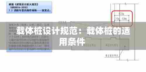载体桩设计规范：载体桩的适用条件 
