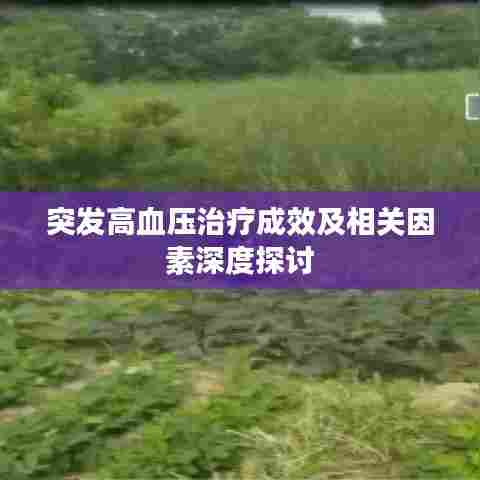 突发高血压治疗成效及相关因素深度探讨