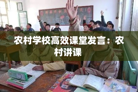 农村学校高效课堂发言：农村讲课 