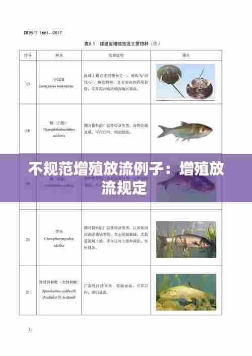不规范增殖放流例子：增殖放流规定 