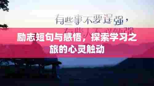 励志短句与感悟，探索学习之旅的心灵触动