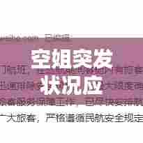 空姐突发状况应急处理引公众关注热议