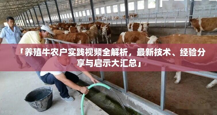 「养殖牛农户实践视频全解析，最新技术、经验分享与启示大汇总」