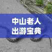 中山老人出游宝典，畅游景点，享受无忧旅行！