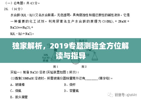 独家解析，2019专题测验全方位解读与指导